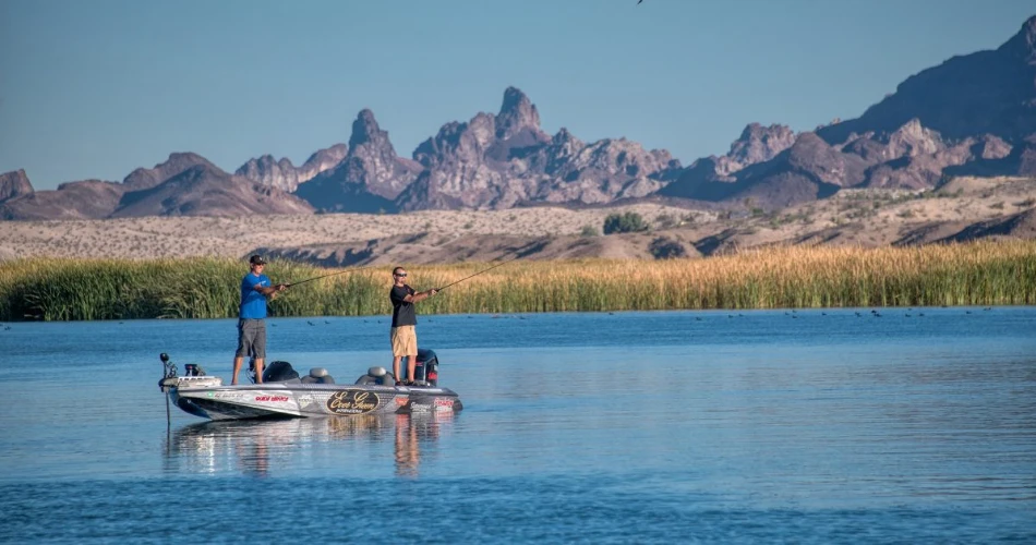 Top Activities to Do in Lake Canyon, Arizona